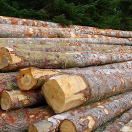 Rondhout - sparrenhout - 20 kubieke meter, een halve vrachtwagenlading