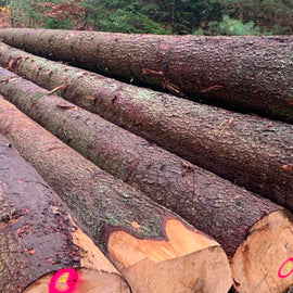 Brandhout - Beuken - halve vrachtwagenlading 20RM